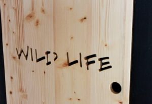 Schriftzug Wild Life im Tiny House Bigge